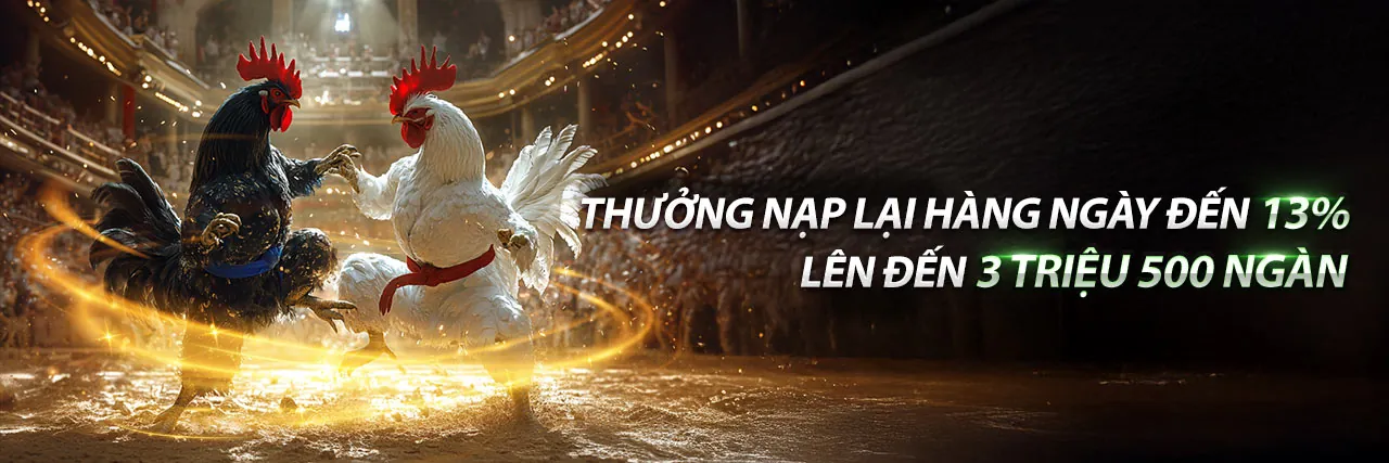 Các chương trình khuyến mãi độc quyền tại dp568 Casino 2026