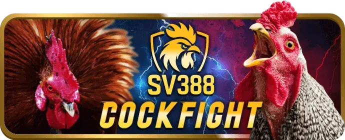 dp568 casino Ra Mắt Chương Trình Khuyến Mãi Hè Cực Sốc